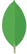 MongoDB Icon